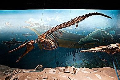 动漫竞技TPS《卡拉彼丘》PC国际服11月22日上线 