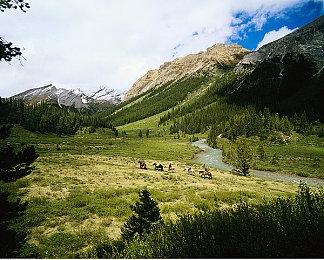 大侠立志传加点攻略，大侠立志传属性点怎么加？