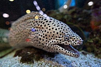 《苏醒之路》确定10月19日steam发售 2024年登陆Switch