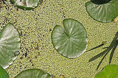 《暗黑4》2.5.0改版和S11赛季PTR细节将于10月17日揭晓